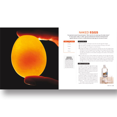 Naked Eggs and Flying Potatoes by Steve Spangler