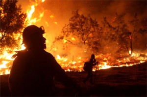 calfire02 calfire02