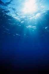 underocean underocean