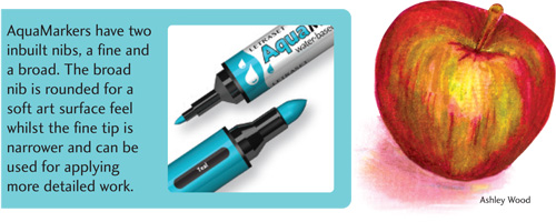 Letraset Aqua Marker set giveaway 2011 Best of Christmas Gifts Showcase: Letraset Aqua Marker sets