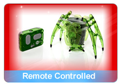 Remote Controlled Hexbug Inchworm 